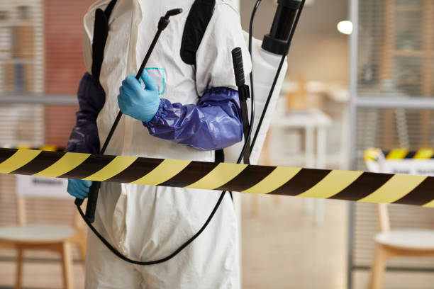 Professional Sewage Cleanup technician working in Port Reading, NJ